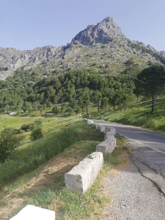 Вилла Vivelorural Casa Tassone, Grazalema - Cadiz Экстерьер фото
